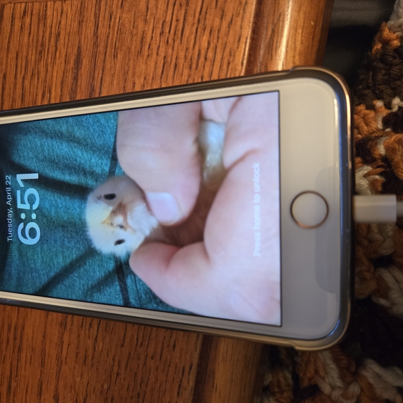 Iphpne 8 Plus - Picture 1 of 3